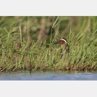 5173 x 3449_Px _RM_160531_MG_6971.jpg