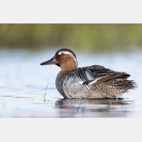 5328 x 3552_Px _RM_160531_MG_7207.jpg