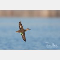 3531 x 2354_Px _RM_150226_MG_1604.jpg