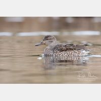 3571 x 2381_Px _RM_110315_MG_4938.jpg