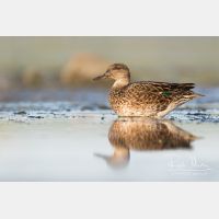 4790 x 3193_Px _RM_170814_MG_9558.jpg