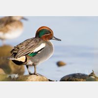 4941 x 3294_Px _RM_121229_MG_5076.jpg