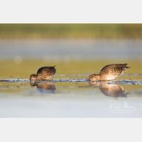 5037 x 3358_Px _RM_170814_MG_9455.jpg