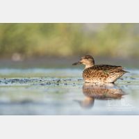 5123 x 3415_Px _RM_170814_MG_9612.jpg