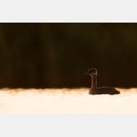 4074 x 2716_Px _RM_170817_MG_8453.jpg