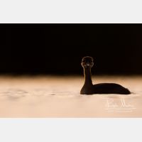 4756 x 3171_Px _RM_170817_MG_8484.jpg