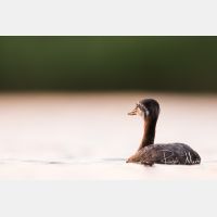 4841 x 3228_Px _RM_170817_MG_8228.jpg