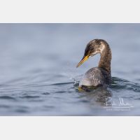 4882 x 3255_Px _RM_161120_MG_0963.jpg