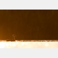 4961 x 3307_Px _RM_170817_MG_8468.jpg