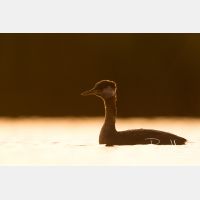 5037 x 3358_Px _RM_170817_MG_8514.jpg