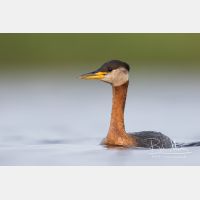 5099 x 3399_Px _RM_170817_MG_8841.jpg