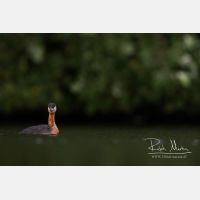 5123 x 3415_Px _RM_170817_MG_9053.jpg