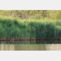 5159 x 3440_Px _RM_170817_MG_8653.jpg