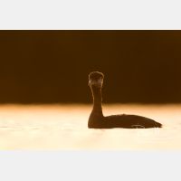 5191 x 3460_Px _RM_170817_MG_8516.jpg