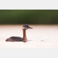 5375 x 3583_Px _RM_170817_MG_8232.jpg