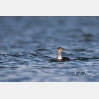 5407 x 3605_Px _RM_161120_MG_0565.jpg