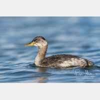 5419 x 3613_Px _RM_161120_MG_0806_b.jpg