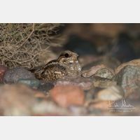 4939 x 3293_Px _RM_140307_MG_9839.jpg