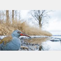 3048 x 2032 Px   _RM_170114_MG_4206.jpg