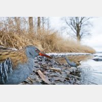 3492 x 2328 Px   _RM_170114_MG_4243.jpg