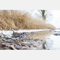 4017 x 2678 Px   _RM_170114_MG_3840.jpg