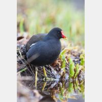 2336 x 3504_Px _RM_090317_MG_5953.jpg