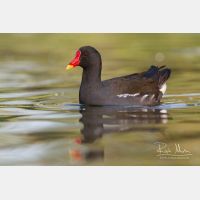 3057 x 2038_Px _RM_090423_MG_4188.jpg