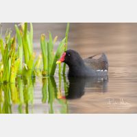 3151 x 2100_Px _RM_090317_MG_6189.jpg