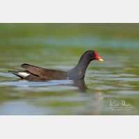 3232 x 2155_Px _RM_090421_MG_3698.jpg