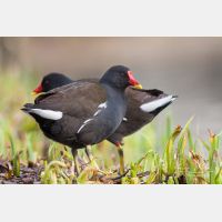 3324 x 2216_Px _RM_090317_MG_6069.jpg