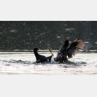 3342 x 1880_Px _RM_090317_MG_5779.jpg