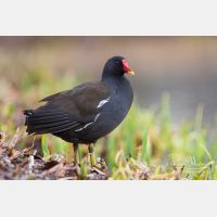 3504 x 2336_Px _RM_090317_MG_5932.jpg