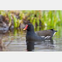 3504 x 2336_Px _RM_090317_MG_6026.jpg