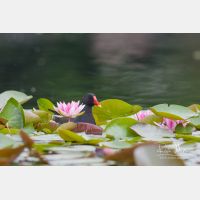 3608 x 2405_Px _RM_100615_MG_3880.jpg