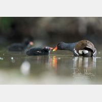 4404 x 2936 Px   _RM_200608_D2_3070.jpg