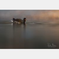 4488 x 2992 Px   _RM_200205_D2_2296.jpg