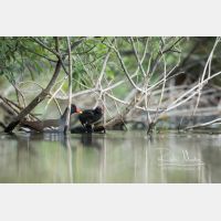 4750 x 3166 Px   _RM_200608_D2_2921.jpg