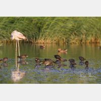 4787 x 3191_Px _RM_141115_MG_1371.jpg