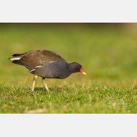 4941 x 3294_Px _RM_131230_MG_0494.jpg