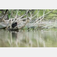 5151 x 3434 Px   _RM_200608_D2_2763.jpg