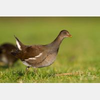 5184 x 3456_Px _RM_131230_MG_0431.jpg