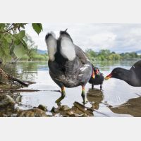 5253 x 3502 Px   _RM_200608_D4_2325.jpg