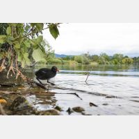 5513 x 3676 Px   _RM_200608_D4_2340.jpg