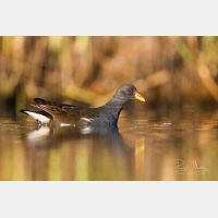 5760 x 3840 Px   __D3_6666.jpg