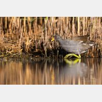 5760 x 3840 Px   __D3_6747.jpg