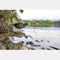 5761 x 3840 Px   _RM_200608_D4_2337.jpg