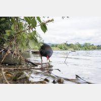 5887 x 3925 Px   _RM_200608_D4_2311.jpg