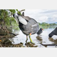 5931 x 3954 Px   _RM_200608_D4_2330.jpg