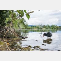 6113 x 4075 Px   _RM_200608_D4_2335.jpg