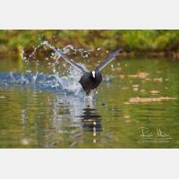 2644 x 1762_Px _RM_090503_MG_5274.jpg